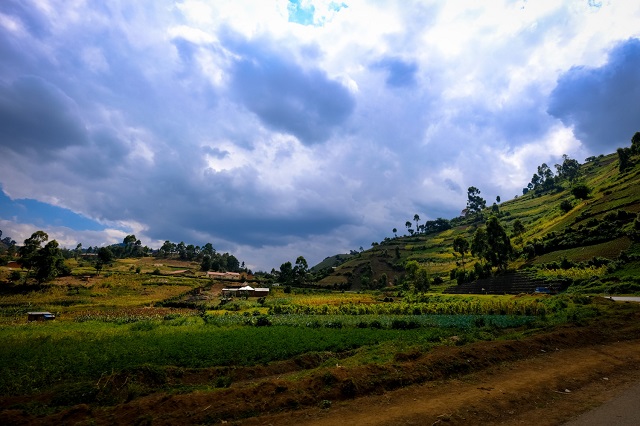 rural development